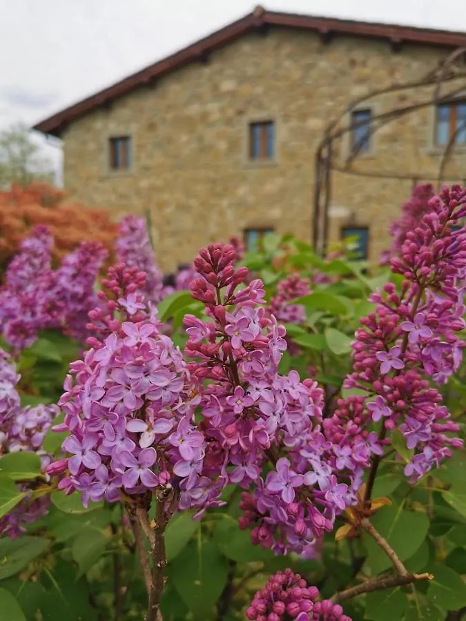 Country house Il Cerro Guest House Pelago