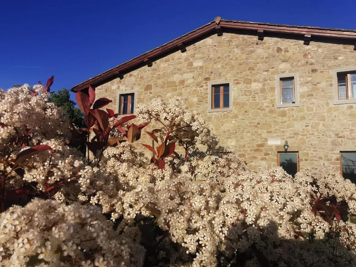 Il Cerro Guest House Pelago