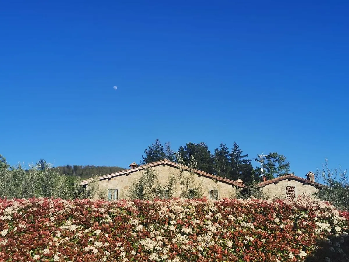 Il Cerro Guest House Pelago Country house